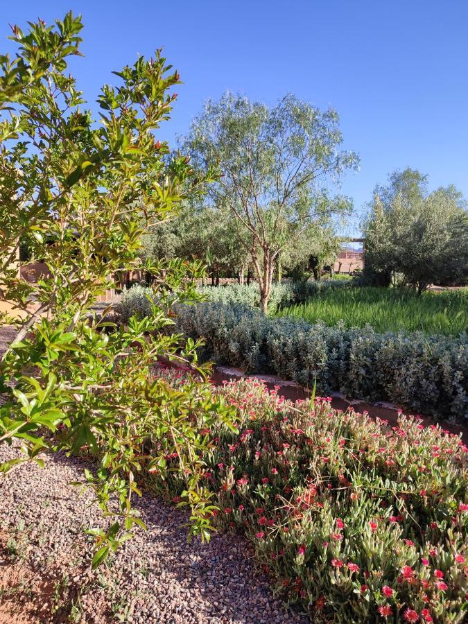 Maison D'Hotes Tigminou - Adults Only Ait Benhaddou Exterior foto